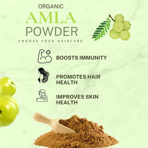 Hennahub Organic Amla Powder for Hair Care - 100% Pure, Natural & Chemical-Free Hair Strengthening, Conditioning Powder | Rich in Vitamin C & Antioxidants for Healthy Hair | 100gm New pack